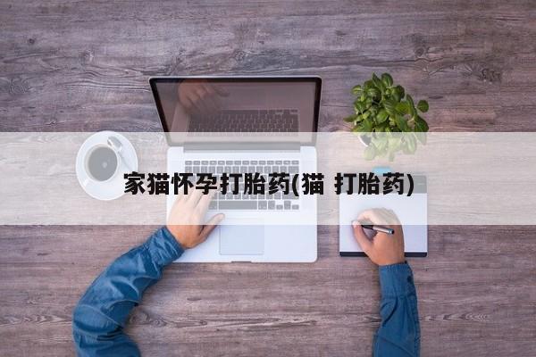 堕胎药网上正品购买微信家猫怀孕打胎药(猫 打胎药)